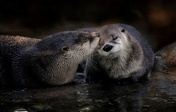 キスの仕方 教えます☆