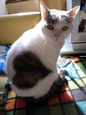 愛がいっぱい♫