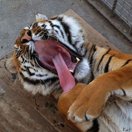 可愛くて、、、眠い♫
