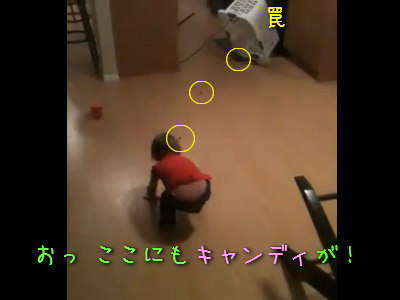 実験