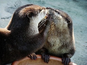 キスの仕方 教えます☆