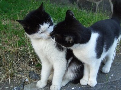 キスシ〜ン☆