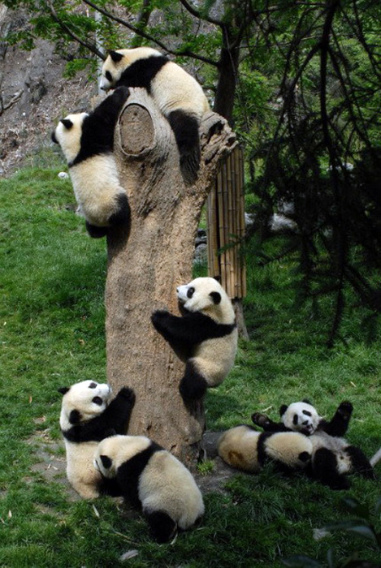 可愛い 動物達☆
