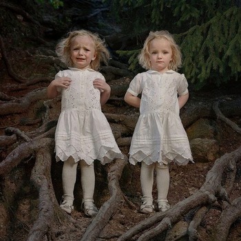 双子のアート写真