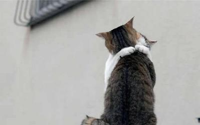 キスシ〜ン☆
