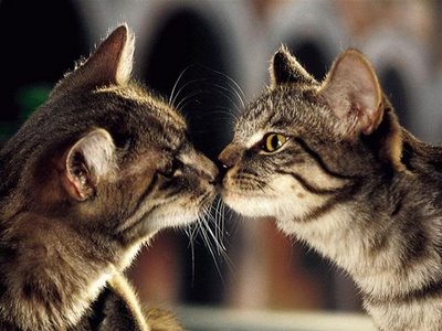 キスシ〜ン☆