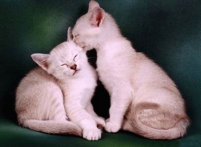 キスシ〜ン☆