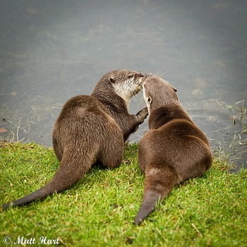 キスの仕方 教えます☆