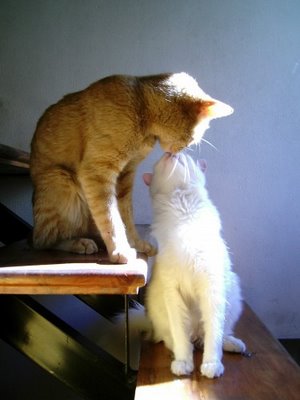 キスシ〜ン☆