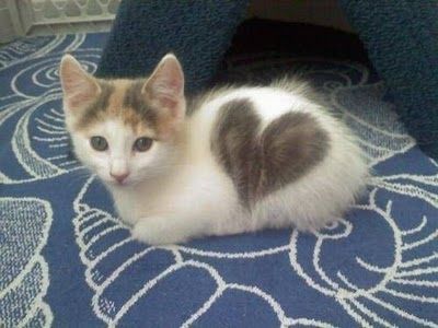 愛がいっぱい♫
