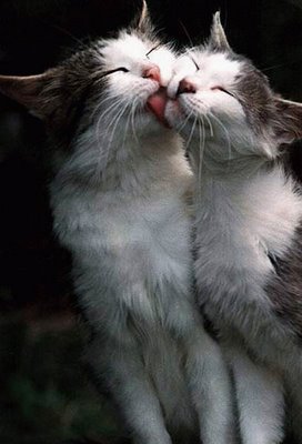 キスシ〜ン☆