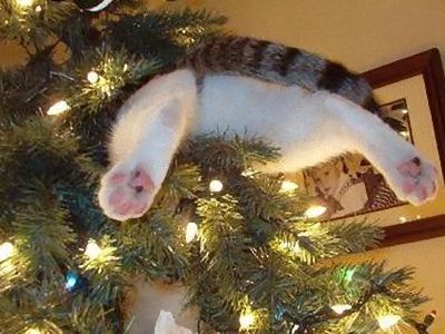 クリスマス〜♫