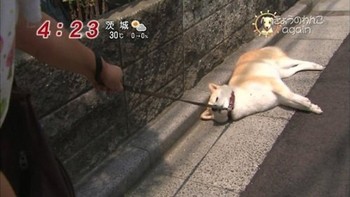 時には何にもしない♫