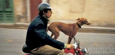 犬と バイクと 飼い主と