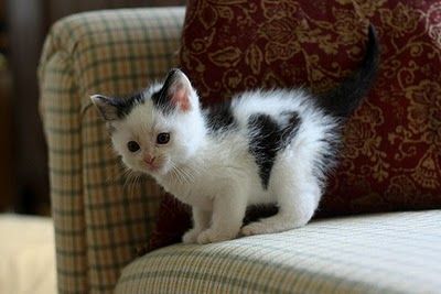愛がいっぱい♫