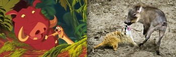 ディズニーの名シーン♫