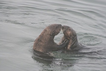 キスの仕方 教えます☆