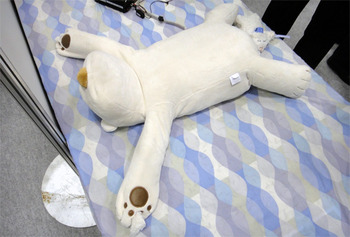 優しく起こす?クマ型ロボット!