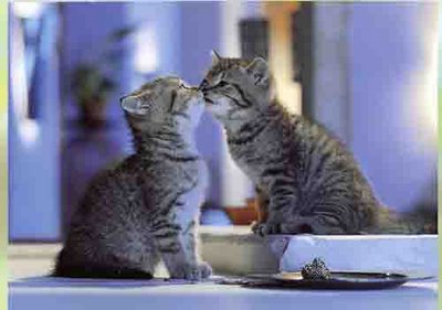 キスシ〜ン☆