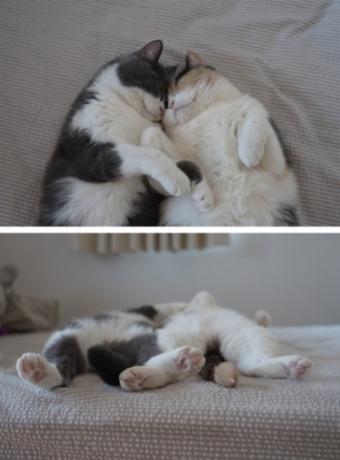 息が合うって☆