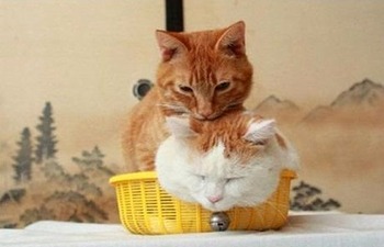 息が合うって☆