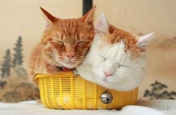 息が合うって☆