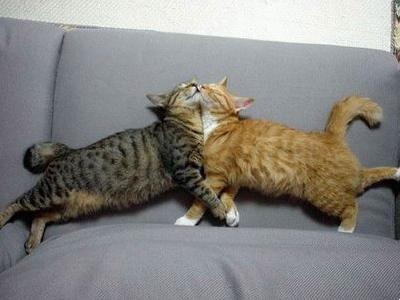 キスシ〜ン☆