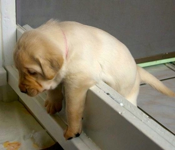 眠たい時に寝る♫