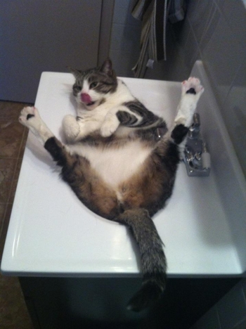 恐怖の写真!