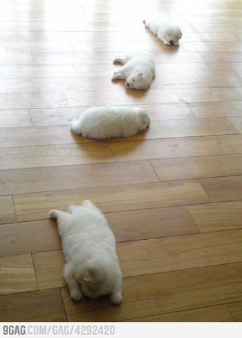 眠たい時に寝る♫