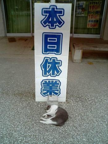動物の世界☆
