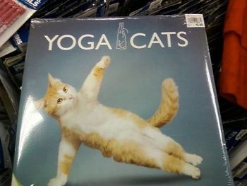 動物の世界☆