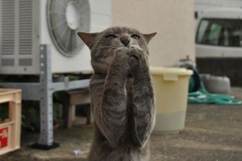 動物の世界☆
