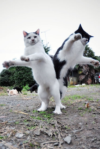 シンクロしちゃう♫