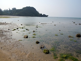 海岸