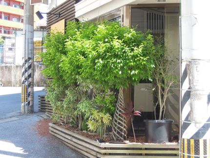 夏か〜☆