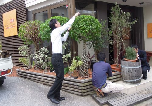 スタッフと植木の手入れをしました