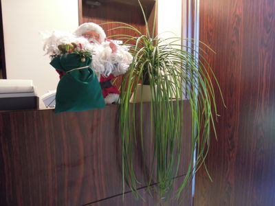 いよいよクリスマスクリスマス〜