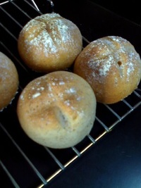 今日のパン