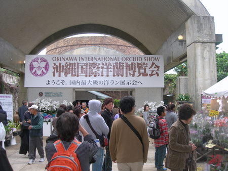沖縄国際揺蘭博覧会を見学してきました。