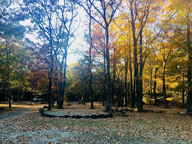 紅葉燻製キャンプ 紅葉燻製キャンプ