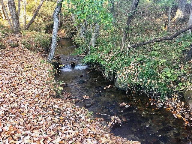 紅葉燻製キャンプ 紅葉燻製キャンプ