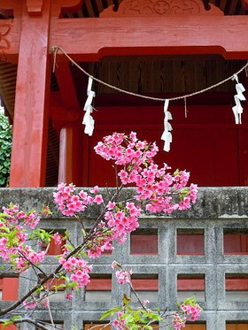旧正月に初詣