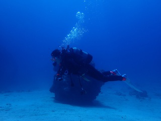 Lets Kerama Diving ～～　★　; )