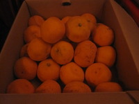 ゴールデンウイークのお土産 2012/05/01 03:31:44