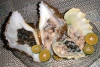 シャコガイと食器 2012/04/13 00:05:00