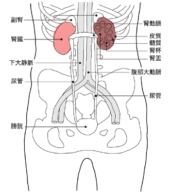 肌のくすみからのメッセージ