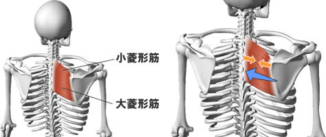 力みないセンター感覚を得るコツ