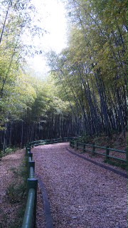 つかの間の・・・