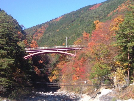 紅葉スポットin岐阜